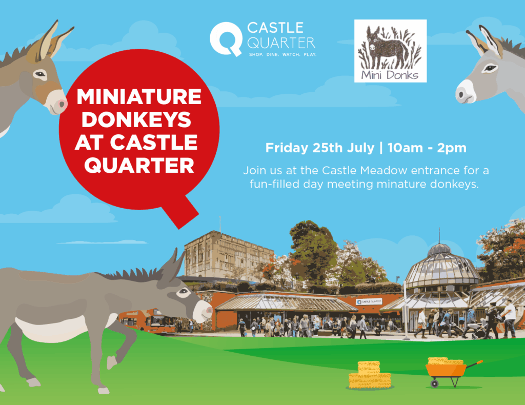 miniature donkeys at castle quarter graphic